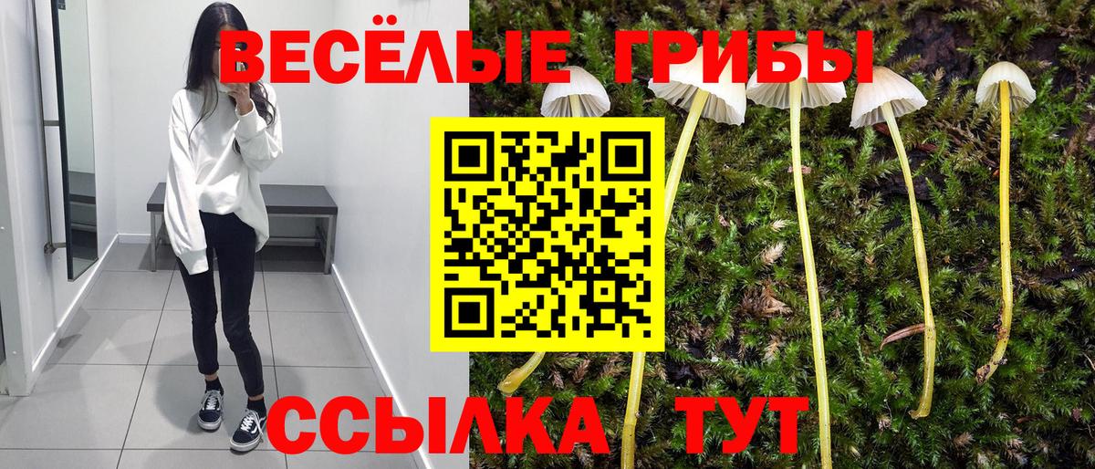 Псилоцибиновые грибы ЛСД Нерюнгри
