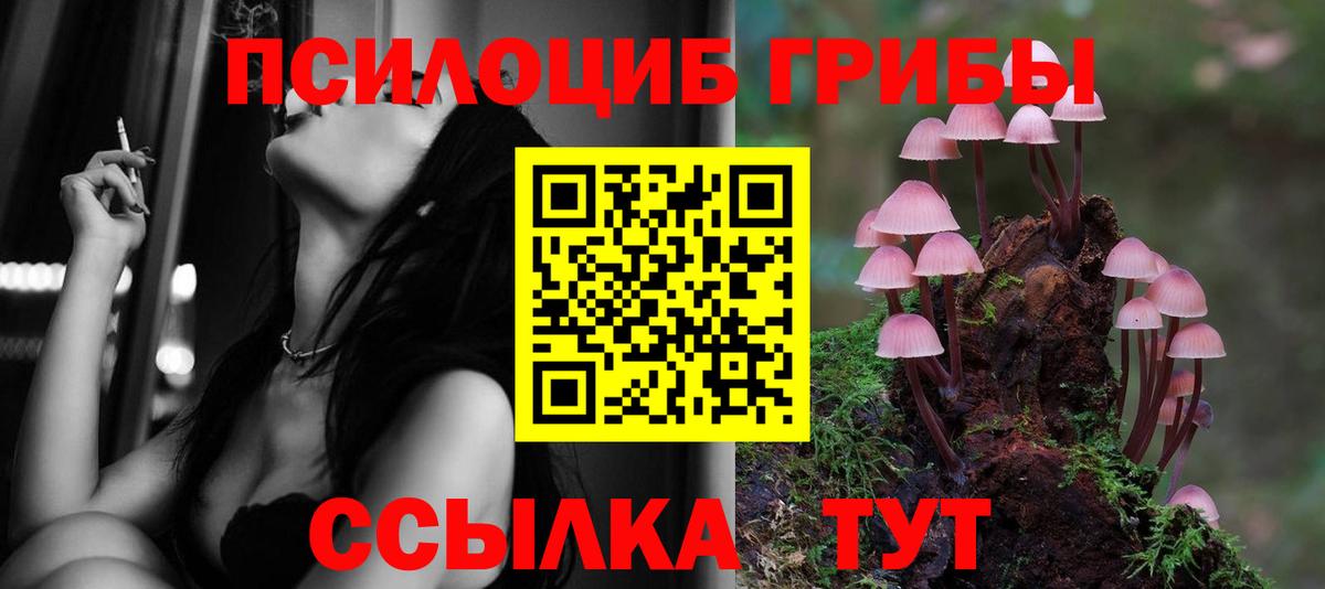 Псилоцибиновые грибы Cubensis  Вход с VPN  Галлюциногенные грибы Psilocybe  Нерюнгри 